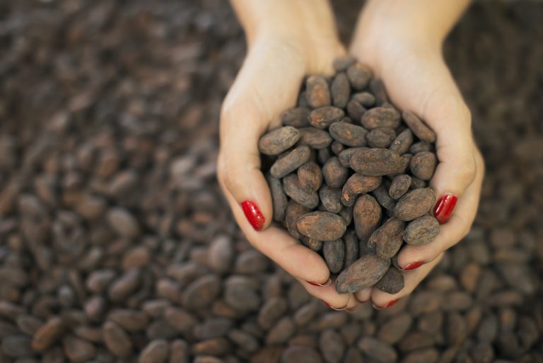 a-person-holding-a-handful-of-cocoa-beans-raw-materials-for-chocolate-making-